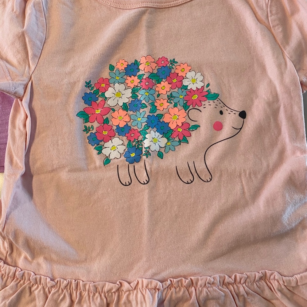 Bundle of 5T tees: hedgehog, purple ruffle - Picture 2 of 5